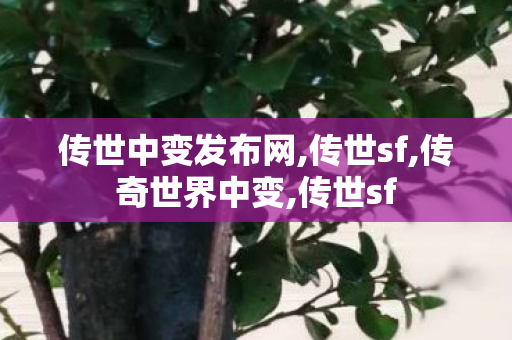 传世中变发布网,传世sf,传奇世界中变,传世sf