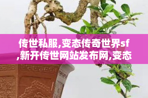 传世私服,变态传奇世界sf,新开传世网站发布网,变态传奇世界sf