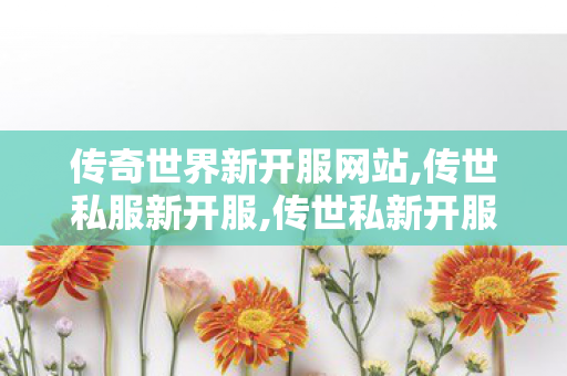 传奇世界新开服网站,传世私服新开服,传世私新开服网站,传世私服新开服