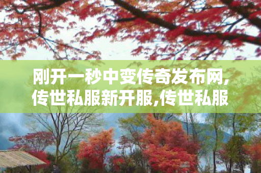 刚开一秒中变传奇发布网,传世私服新开服,传世私服漏洞,传世私服新开服