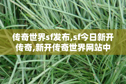 传奇世界sf发布,sf今日新开传奇,新开传奇世界网站中变私服,sf今日新开传奇