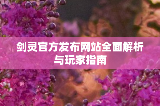 剑灵官方发布网站全面解析与玩家指南