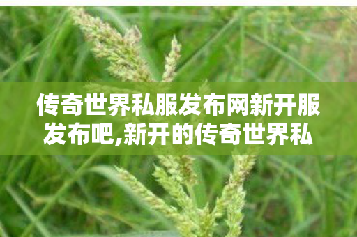 传奇世界私服发布网新开服发布吧,新开的传奇世界私服,传世sf发布网,新开的传奇世界私服