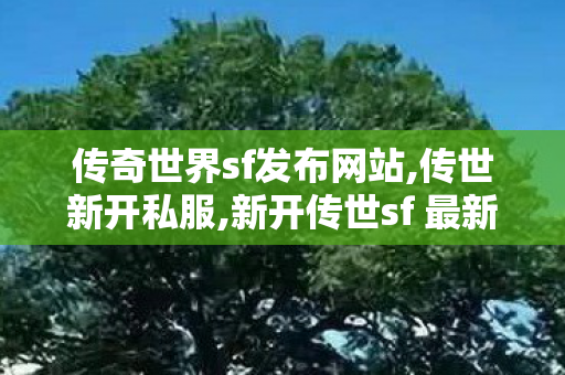 传奇世界sf发布网站,传世新开私服,新开传世sf 最新开,传世新开私服