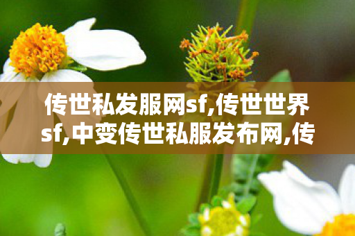 传世私发服网sf,传世世界sf,中变传世私服发布网,传世世界sf