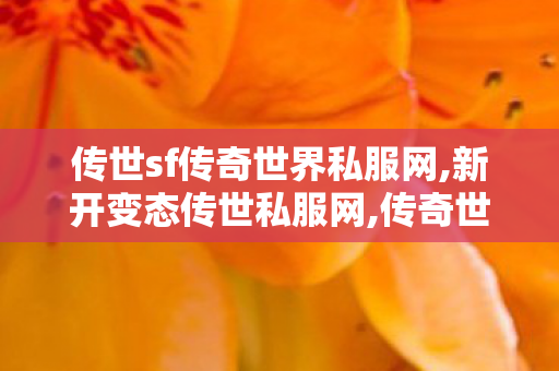 传世sf传奇世界私服网,新开变态传世私服网,传奇世界私服发布站,新开变态传世私服网