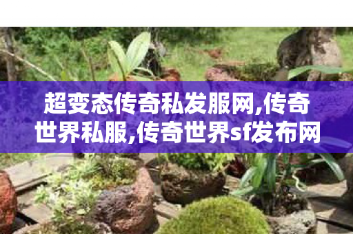 超变态传奇私发服网,传奇世界私服,传奇世界sf发布网,找传世sf发布网新服,传奇世界私服,传奇世界sf发布网