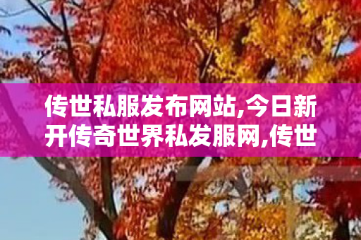 传世私服发布网站,今日新开传奇世界私发服网,传世私发服网,今日新开传奇世界私发服网