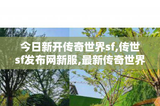 今日新开传奇世界sf,传世sf发布网新服,最新传奇世界私服网,传世sf发布网新服