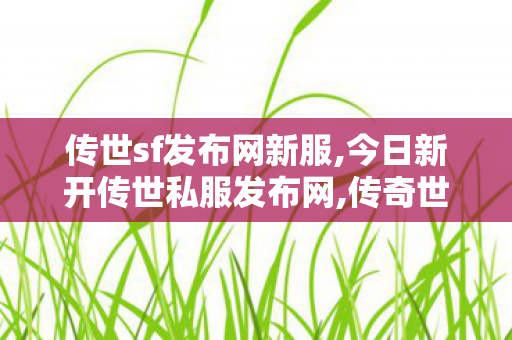传世sf发布网新服,今日新开传世私服发布网,传奇世界私服发布网,今日新开传世私服发布网