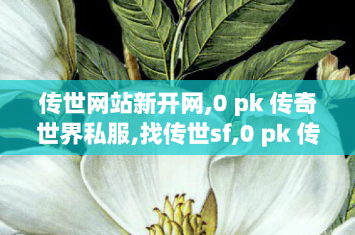 传世网站新开网,0 pk 传奇世界私服,找传世sf,0 pk 传奇世界私服
