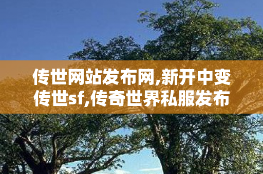传世网站发布网,新开中变传世sf,传奇世界私服发布网站,新开中变传世sf