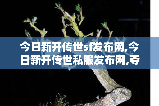 今日新开传世sf发布网,今日新开传世私服发布网,夺宝传世sf,今日新开传世私服发布网
