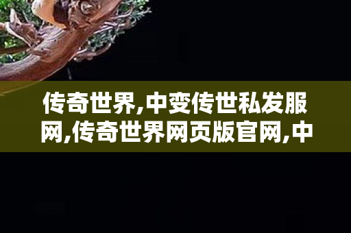 传奇世界,中变传世私发服网,传奇世界网页版官网,中变传世私发服网