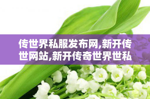 传世界私服发布网,新开传世网站,新开传奇世界世私服,新开传世网站