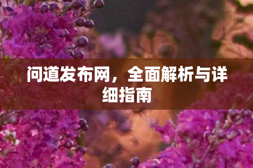 问道发布网，全面解析与详细指南