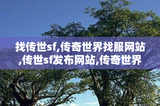找传世sf,传奇世界找服网站,传世sf发布网站,传奇世界找服网站
