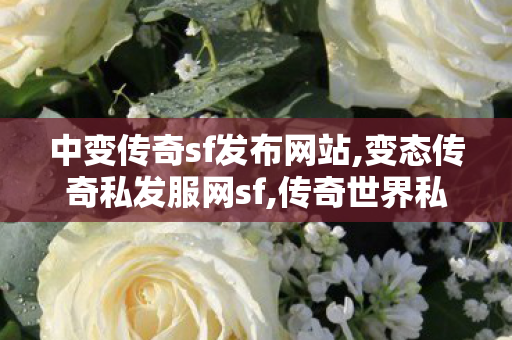 中变传奇sf发布网站,变态传奇私发服网sf,传奇世界私服,找新开传世私服,变态传奇私发服网sf