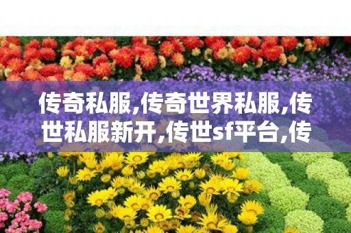 传奇私服,传奇世界私服,传世私服新开,传世sf平台,传奇世界私服,传世私服新开