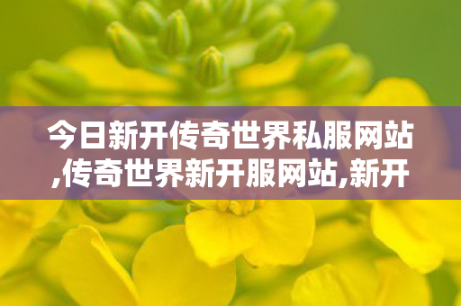今日新开传奇世界私服网站,传奇世界新开服网站,新开传奇世界sf发布,传奇世界新开服网站