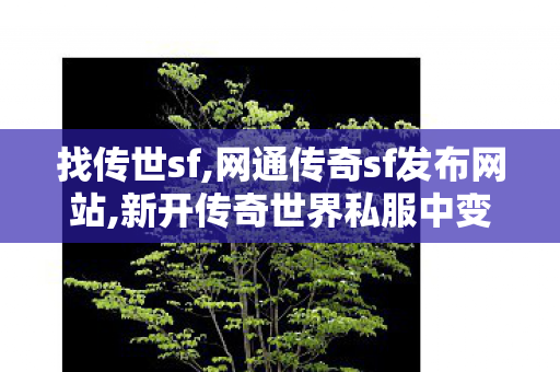 找传世sf,网通传奇sf发布网站,新开传奇世界私服中变,网通传奇sf发布网站