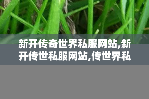 新开传奇世界私服网站,新开传世私服网站,传世界私服,新开传世私服网站