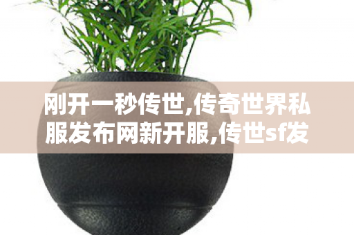 刚开一秒传世,传奇世界私服发布网新开服,传世sf发布网,传奇世界私服发布网新开服