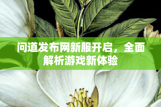 问道发布网新服开启，全面解析游戏新体验