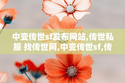 中变传世sf发布网站,传世私服 找传世网,中变传世sf,传世私服 找传世网