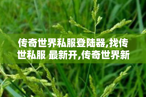 传奇世界私服登陆器,找传世私服 最新开,传奇世界新服,找传世私服 最新开