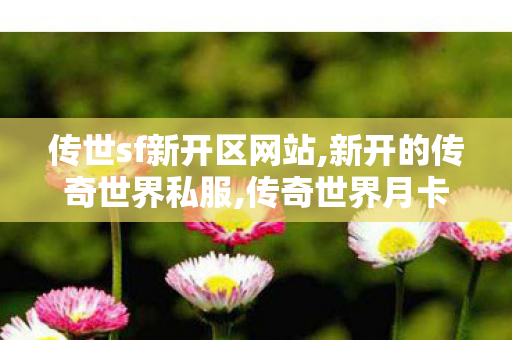 传世sf新开区网站,新开的传奇世界私服,传奇世界月卡私服,新开的传奇世界私服