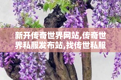 新开传奇世界网站,传奇世界私服发布站,找传世私服网,传奇世界私服发布站
