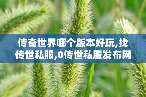 传奇世界哪个版本好玩,找传世私服,0传世私服发布网站,找传世私服