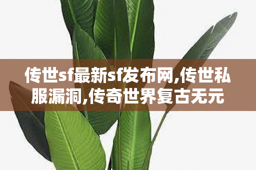 传世sf最新sf发布网,传世私服漏洞,传奇世界复古无元神,传世私服漏洞