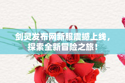 剑灵发布网新服震撼上线，探索全新冒险之旅！