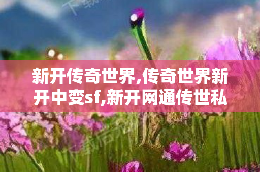 新开传奇世界,传奇世界新开中变sf,新开网通传世私服,传奇世界新开中变sf
