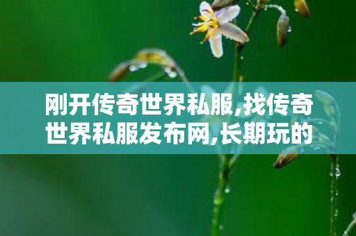 刚开传奇世界私服,找传奇世界私服发布网,长期玩的传奇私服,找传奇世界私服发布网