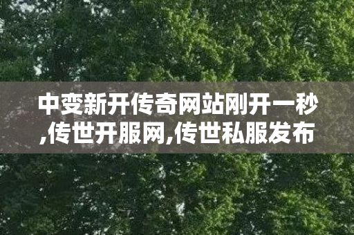 中变新开传奇网站刚开一秒,传世开服网,传世私服发布网新区,传世开服网