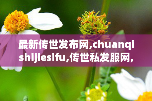 最新传世发布网,chuanqishijiesifu,传世私发服网,chuanqishijiesifu