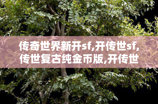 传奇世界新开sf,开传世sf,传世复古纯金币版,开传世sf