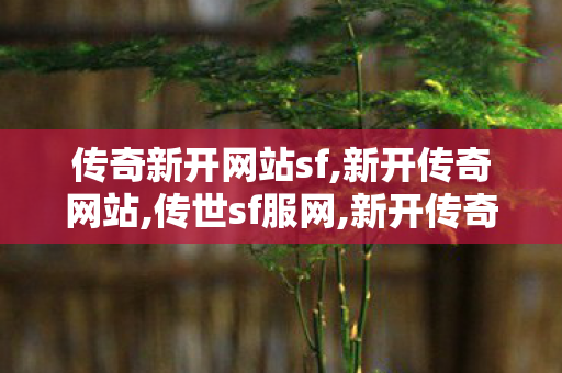 传奇新开网站sf,新开传奇网站,传世sf服网,新开传奇网站