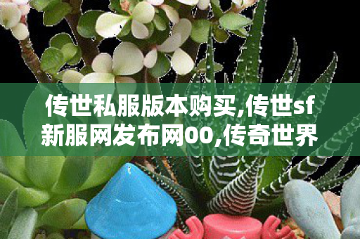 传世私服版本购买,传世sf新服网发布网00,传奇世界新服网发布网,传世sf新服网发布网00