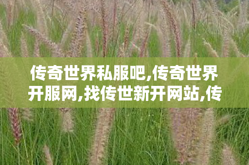传奇世界私服吧,传奇世界开服网,找传世新开网站,传奇世界开服网