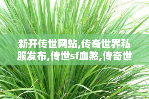 新开传世网站,传奇世界私服发布,传世sf血煞,传奇世界私服发布