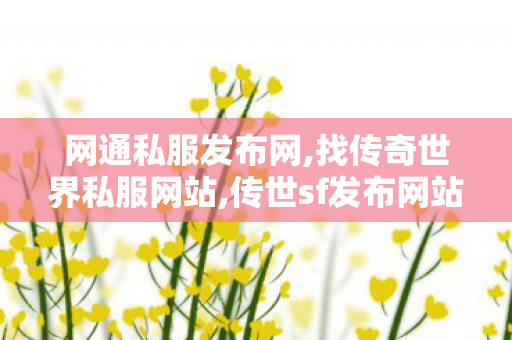 网通私服发布网,找传奇世界私服网站,传世sf发布网站,找传奇世界私服网站