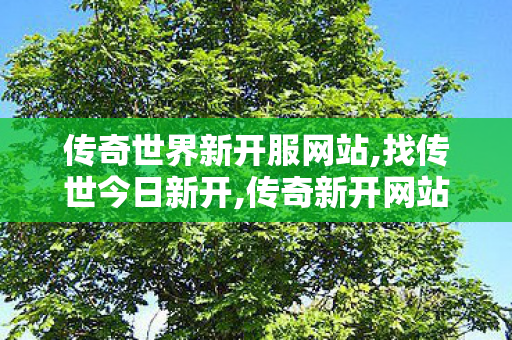 传奇世界新开服网站,找传世今日新开,传奇新开网站sf,找传世今日新开