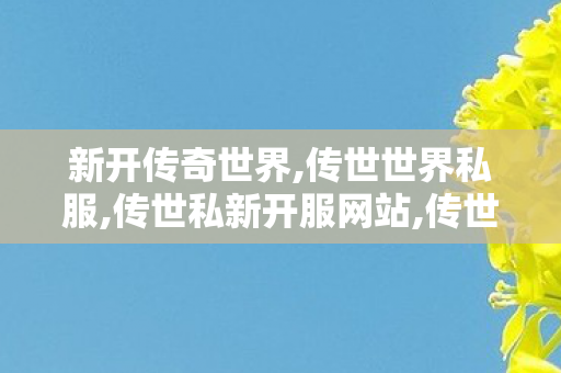新开传奇世界,传世世界私服,传世私新开服网站,传世世界私服