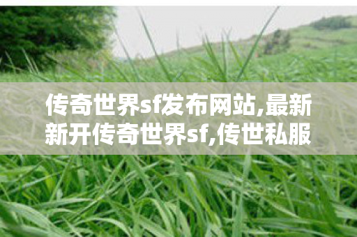 传奇世界sf发布网站,最新新开传奇世界sf,传世私服开服,最新新开传奇世界sf
