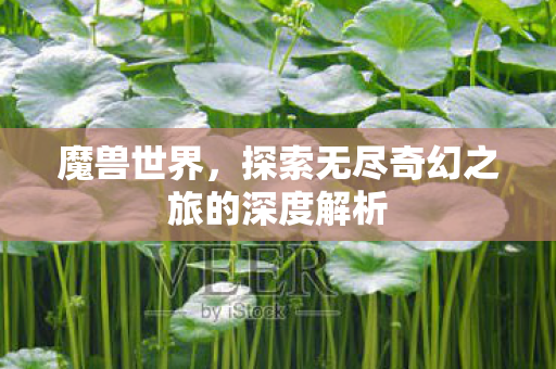 魔兽世界，探索无尽奇幻之旅的深度解析