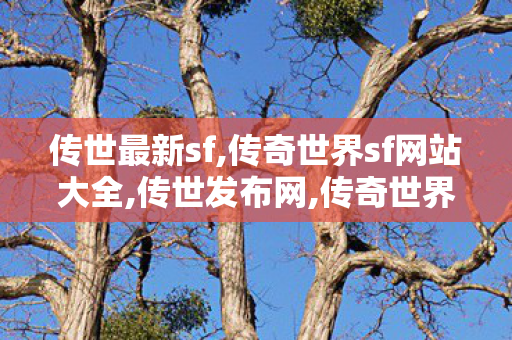 传世最新sf,传奇世界sf网站大全,传世发布网,传奇世界sf网站大全